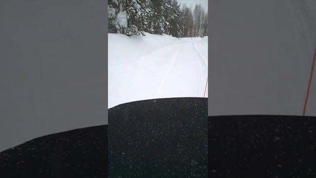 Полина на буксире смотреть онлайн