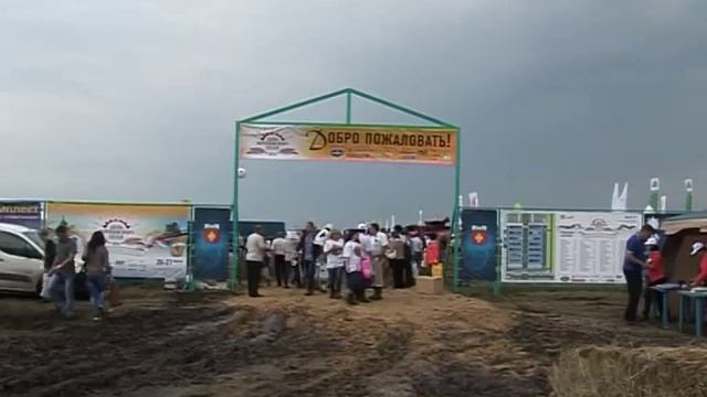 ДЕНЬ ВОРОНЕЖСКОГО ПОЛЯ