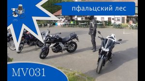 MV031 - пфальцский лес