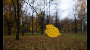 Сергей Глазунов стихи Ольга Шматова