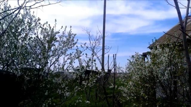 Продам участок 90 соток. Веселый В 1