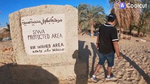 ОАЗИСЫ ЕГИПТА- Оазис СИВА (часть последняя)