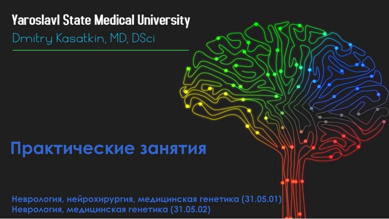 A2 1.3 Анализатор общей чувствительности - тактильный гнозис