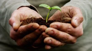 7 полезных привычек, которые  изменят Вашу жизнь