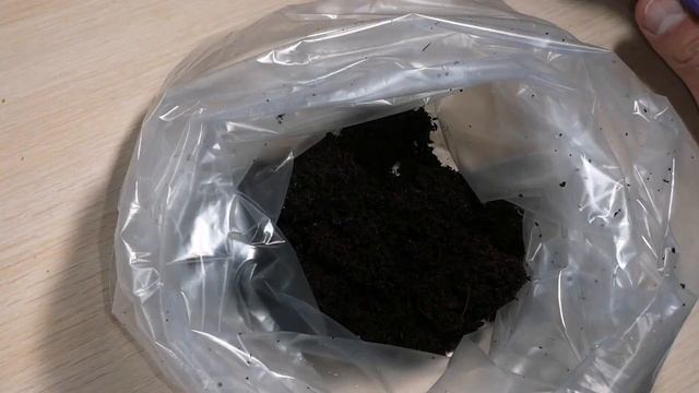 Нерест афиосемионов .Часть 2. смотреть онлайн