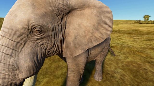 Дикие животные - Microsoft Flight Simulator смотреть онлайн