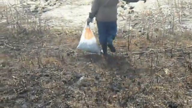 зарыбление карпом годовиком. водоём в Орановке смотреть онлайн