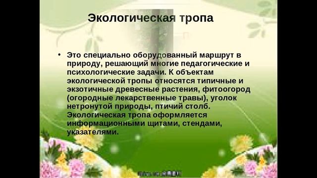 Познавательная программа по экологии «Экологическая тропа»