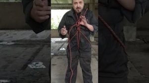 "паук" обвязка пострадавшего