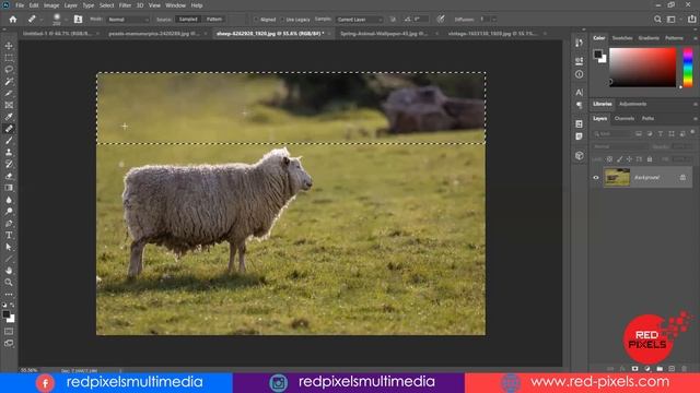 Spot Healing, Patch Tool, Content-Aware Move Tool in Photoshop CC 2022 Class for Beginners in HIND смотреть онлайн