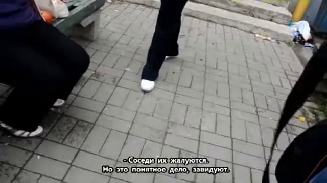 Собачья гостиница - камень преткновения