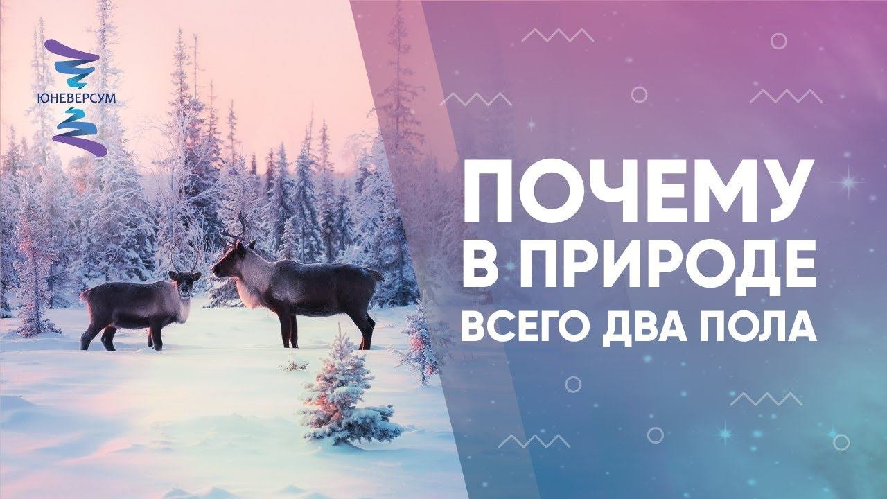 Почему в природе всего два пола. ЮНЕВЕРСУМ. Проект Вячеслава Юнева
