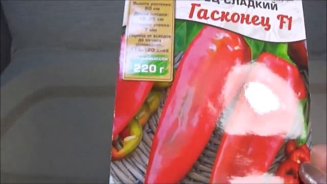 Море семян от Агрофирмы АЭЛИТА!