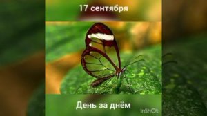 17 сентября. День за днëм