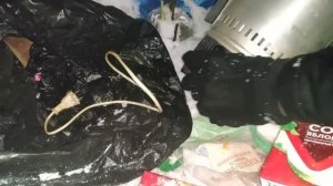 Что можно найти на мусорках Санкт-Петербурга? Находки на мусорке!