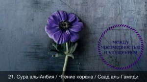 21. Сура аль-Анбия / Чтение корана / Саад аль-Гамиди
