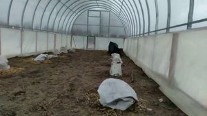 Увеличиваем высоту теплицы