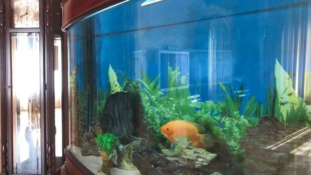Купите Дом в Краснодаре с бассейном, сауной и тренажерным залом!