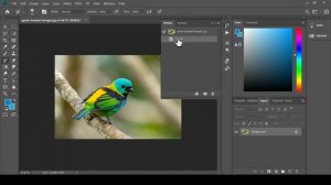 Photoshop - History Brush Tool - Part - 25 - Web Design Series - Hindi