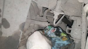 Замена наружнего пыльника передней полуоси форд куга 2