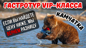 VIP класс " роскошные впечатления от гастрономических путешествий": #россия #2024 #путешествия