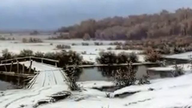 Песнь о собаке смотреть онлайн