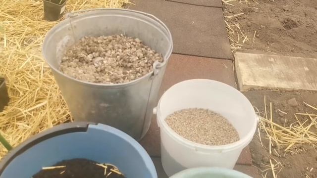 Вы ещё не добавляете Это в лунку при посадке Рассады в теплицу? Помидорный Комбикорм Секрет раскрыт