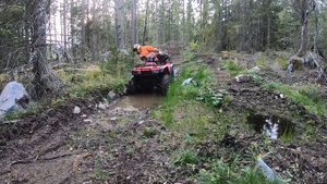 CST Wild Thang test