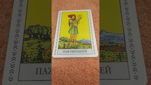 младший аркан ( паж пентаклей )