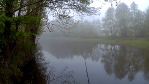 Как спасти любимую приманку!!__Что делать, если забросил приманку на дерево или куст!