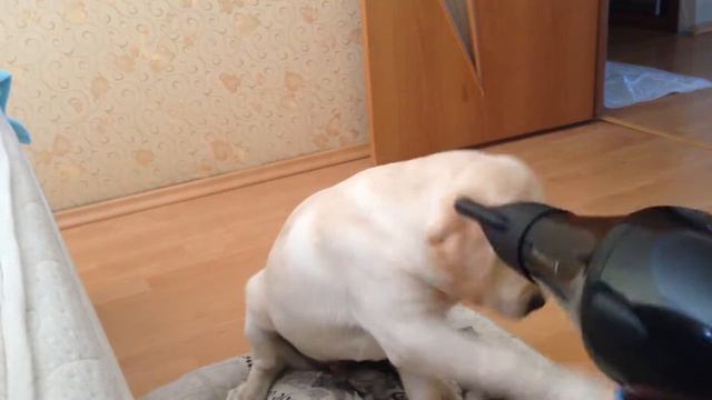 Я Мартин,Я ничего не боюсь! смотреть онлайн