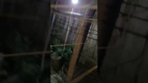 Вязка арматуры в ленточный фундамент или каркас под заливку фундамента