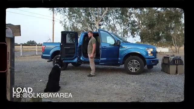 Giant Schnauzer :life with Giant Schnauzer dogs [all about Giant Schnauzer] смотреть онлайн