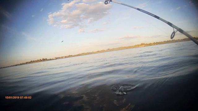 Ловим рыбу в удовольствие по принципу ПОЙМАЛ ОТПУСТИ: Рыбалка в АСТРАХАНИ. смотреть онлайн