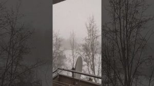 Ужасная погода в Озёрске Челябинской области на 17 ноября 2021.