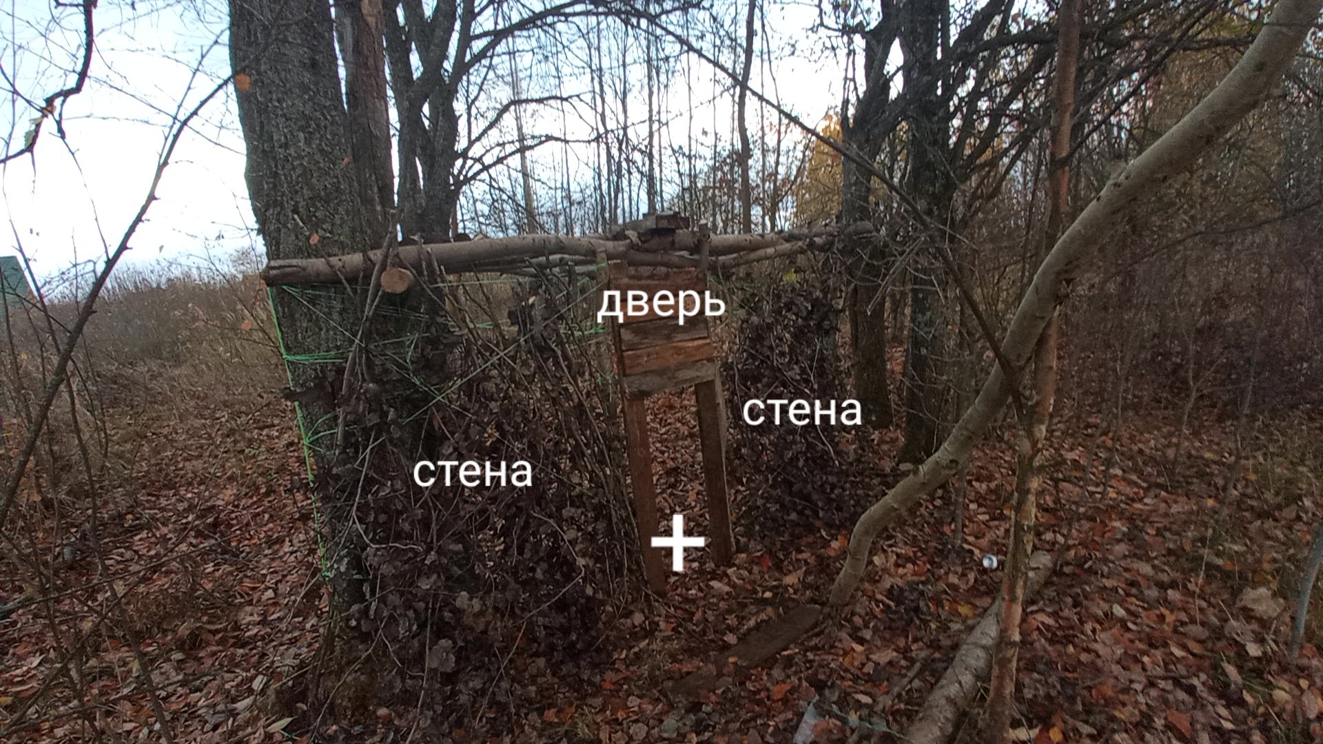 Строю домик #6