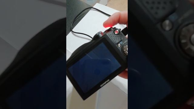 VID 20201031 134745 смотреть онлайн