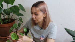 Ableger 101 | Pflanzen vermehren | Ableger von Monstera, Pilea, Geigenfeige & Co.