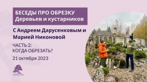 Когда можно обрезать деревья?