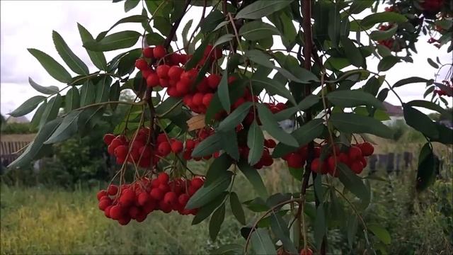 Религия как феномен культуры