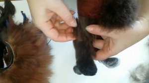 Мастер класс по валянию из шерсти. Скульптура из шерсти кошечка Вельвет. #валяниеизшерсти