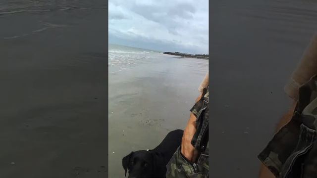 Хорошо идти по свету смотреть онлайн