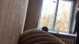 Установка стандартного окна в хрущевке ✅