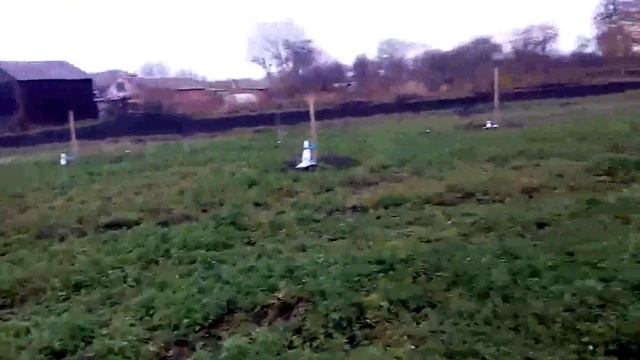 Утепление саженцев грецкого ореха Кочерженко, Идеал, Иван Багряный от Walnuts Broker смотреть онлайн