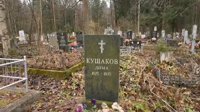 Детское кладбище. Экскурсия № 1 смотреть онлайн