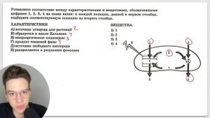 разбор ВСЕХ заданий из РОХЛОВА и реального ЕГЭ на фотосинтез
