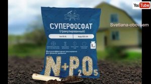 ОБЯЗАТЕЛЬНО ВНОСИМ  в ПОЧВУ  ОСЕНЬЮ  СУПЕРФОСФАТ и КАЛИЙНЫЕ  УДОБРЕНИЯ- СКОЛЬКО? КАК? ЗАЧЕМ?
