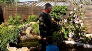 Альпийская горка с водопадом своими руками