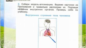 Задание 2 Строение тела человека - Окружающий мир 2 класс (Плешаков А.А.) 2 часть