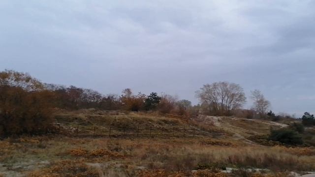 31.10.23 #прогулкипобалтийскомупляжу#балтийск#море#природа#красотавглазахсмотрящего#родныепросторы